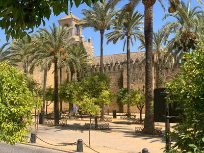 Brown concrete building near the green palm trees during the day
